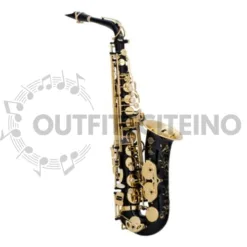 High-class Tenor Saxophone Performer in California